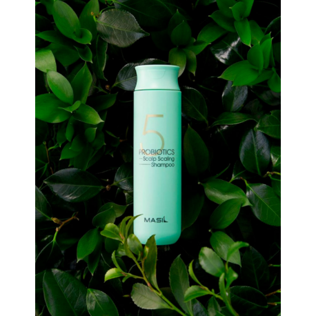 Masil 5 Probiotics Scalp Scaling Shampoo